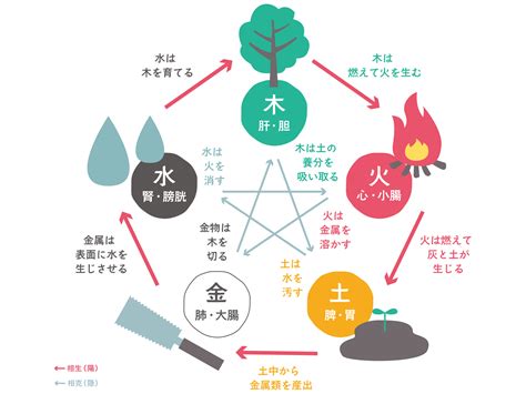 陰陽師五行|陰陽五行